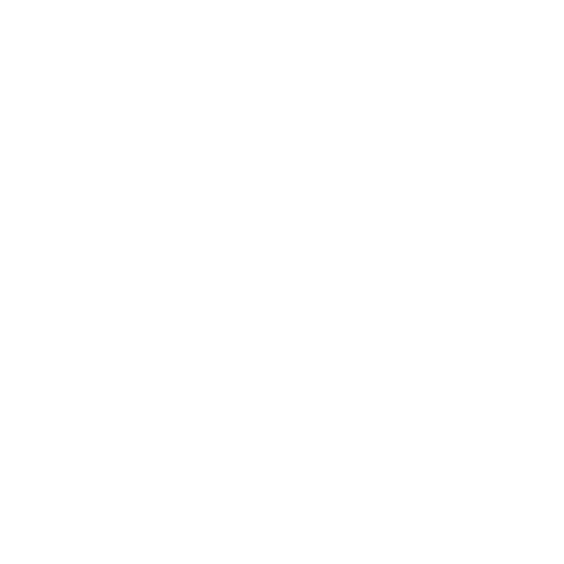 China eshop Setup and Application China eshop Setup and Application