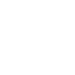 Online Advertising